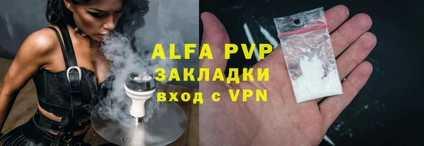 стаф Арсеньев