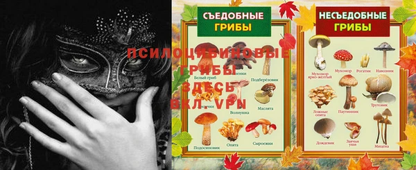 стаф Арсеньев