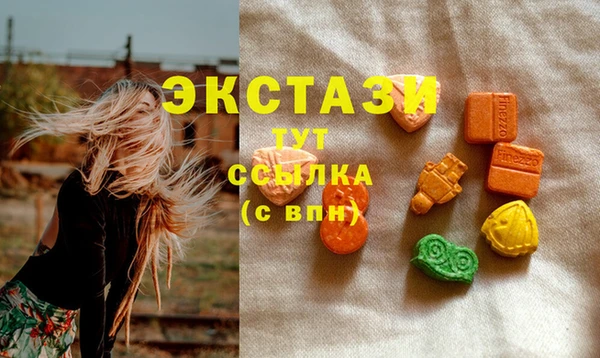 стаф Арсеньев