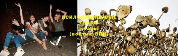 дурь Армянск